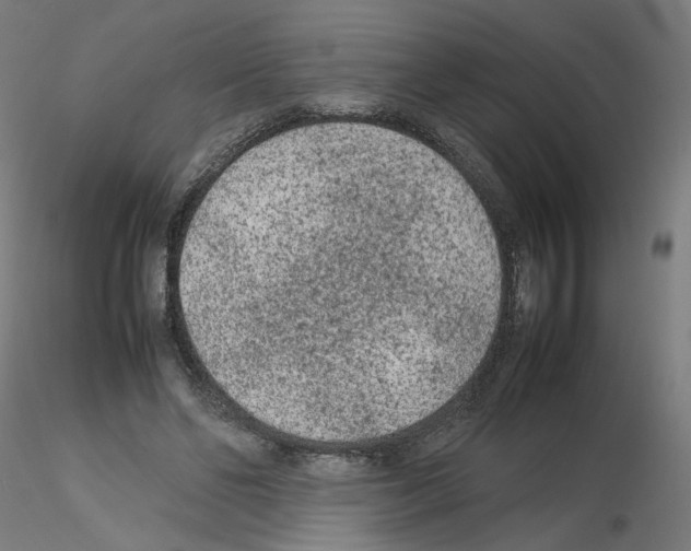 X0000115540494200912181532