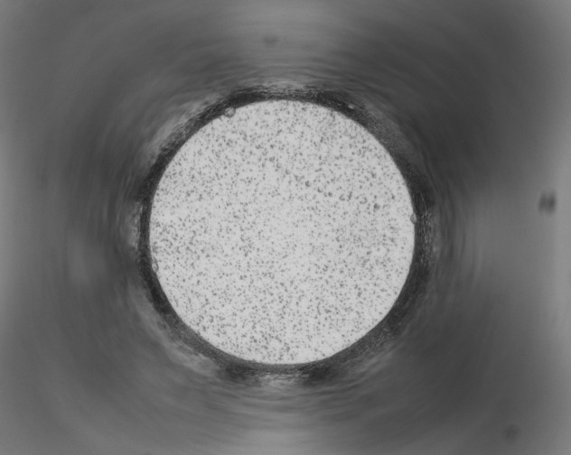 X0000115540495200912181532