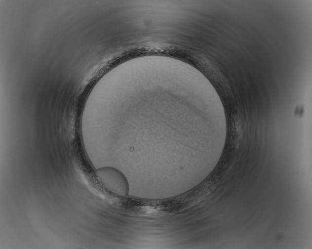 X0000115540496200912181532