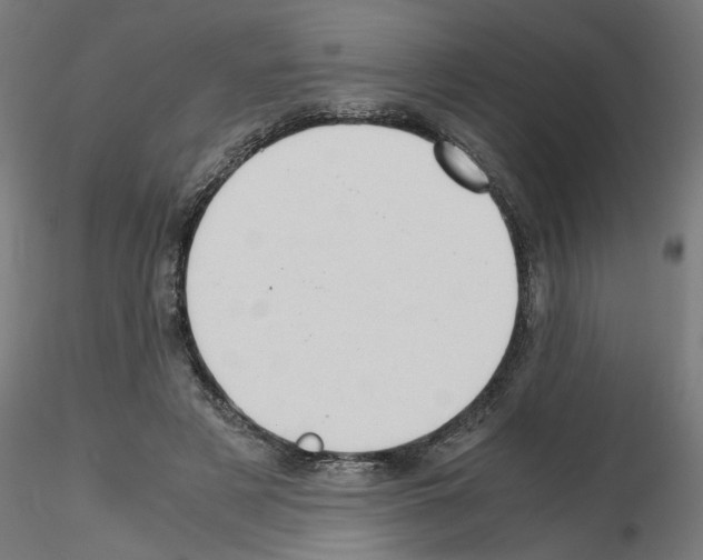 X0000115540497200912181532