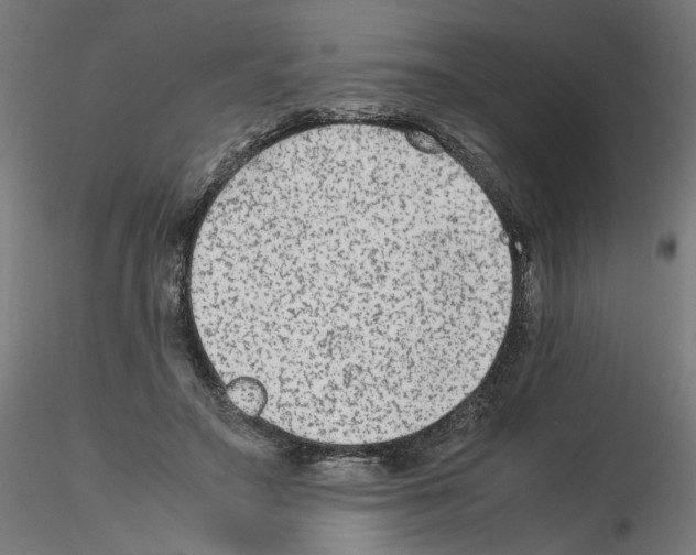 X0000115540499200912181532