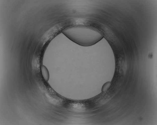 X0000115540500200912181532