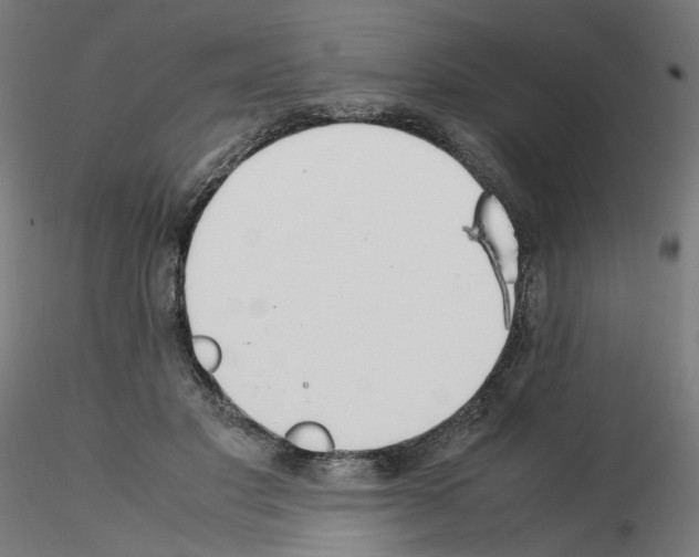 X0000115540501200912181532