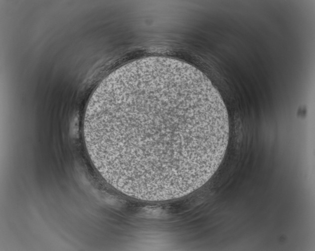 X0000115540502200912181532