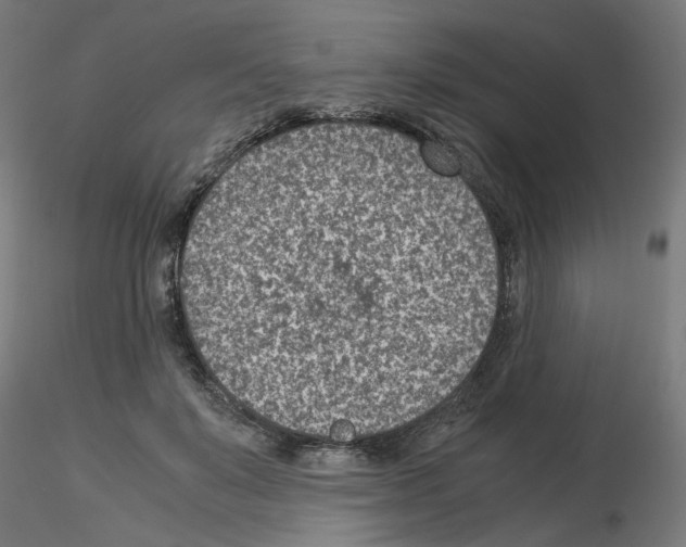 X0000115540503200912181532