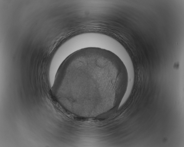 X0000115540504200912181532