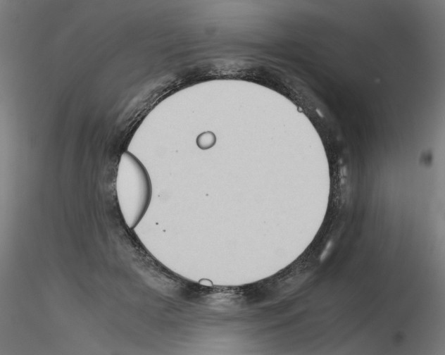 X0000115540505200912181532