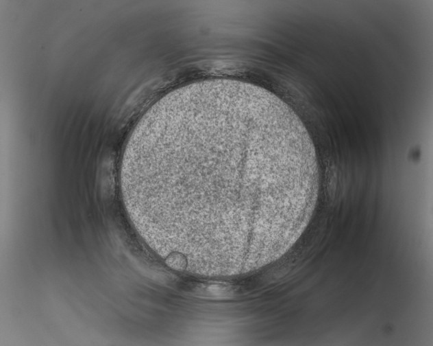 X0000115540506200912181532