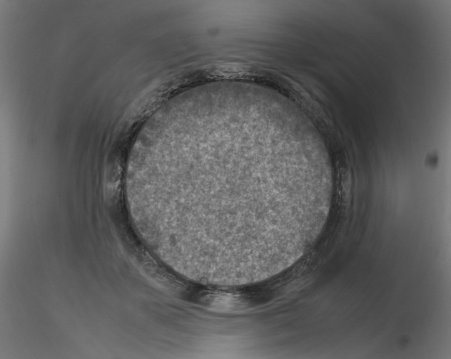 X0000115540507200912181532