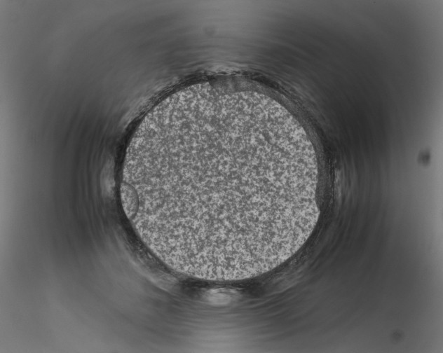 X0000115540508200912181532