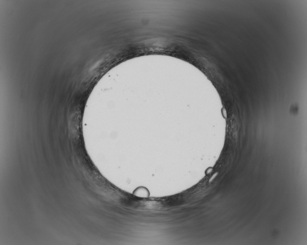 X0000115540509200912181532