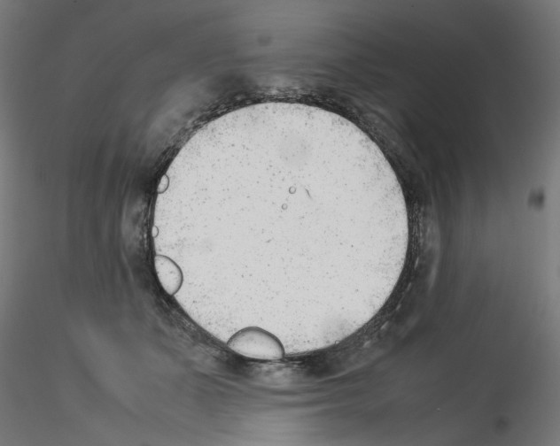 X0000115540511200912181532