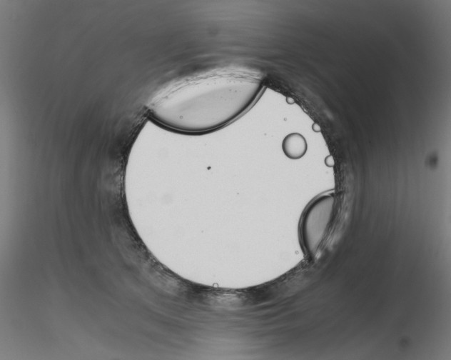 X0000115540513200912181532