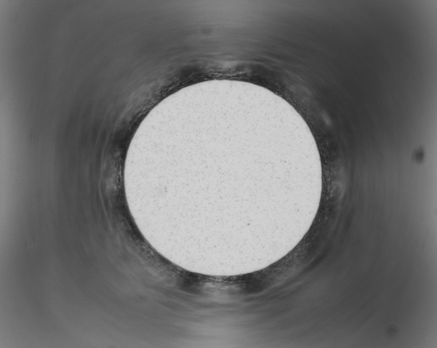 X0000115540515200912181532