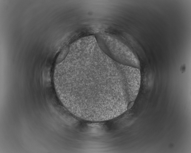 X0000115540516200912181532