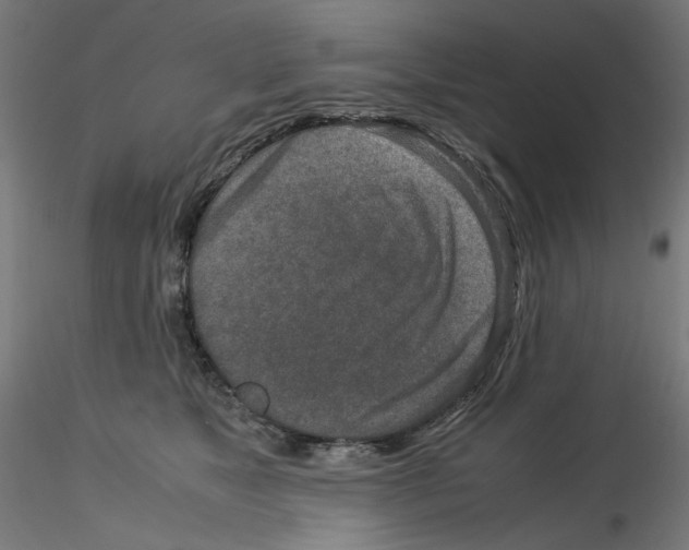 X0000115540517200912181532
