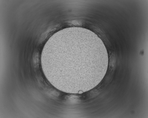 X0000115540518200912181532