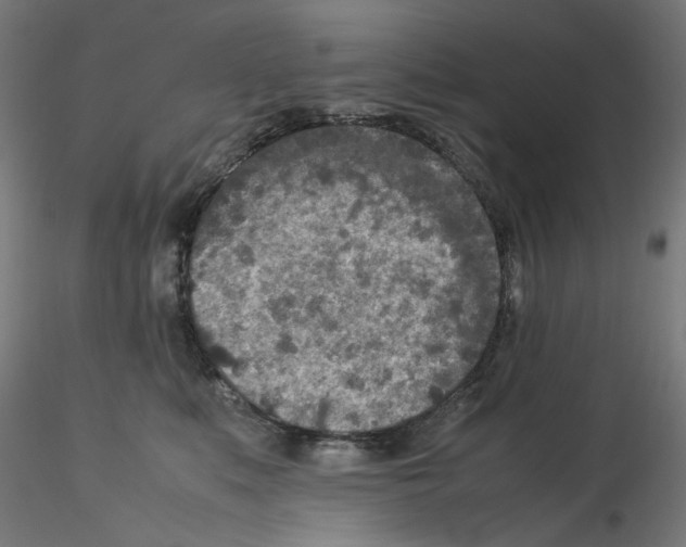 X0000115540519200912181532