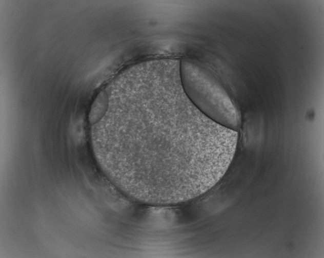 X0000115540520200912181532