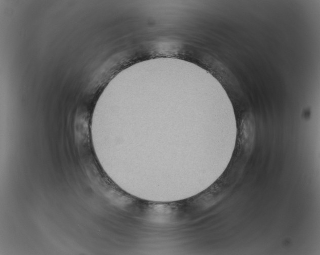 X0000115540522200912181532