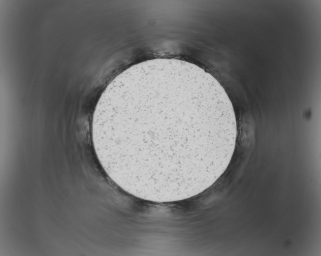 X0000115540523200912181532