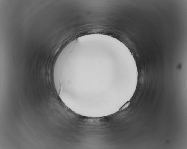 X0000115540524200912181532
