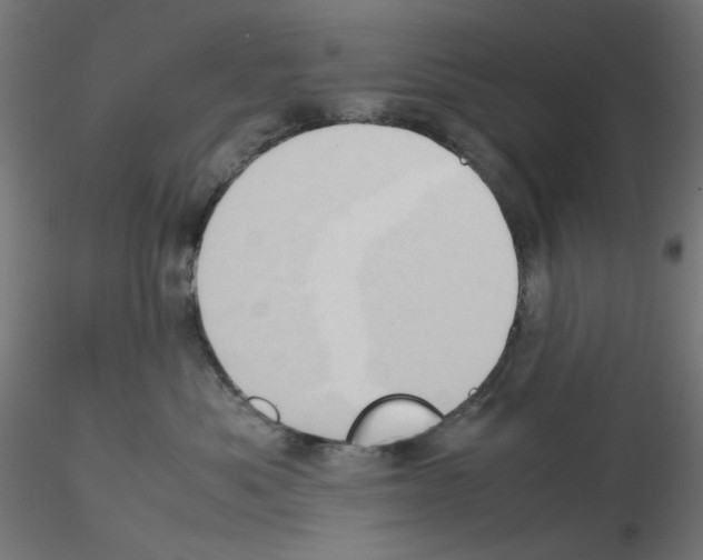 X0000115540525200912181532