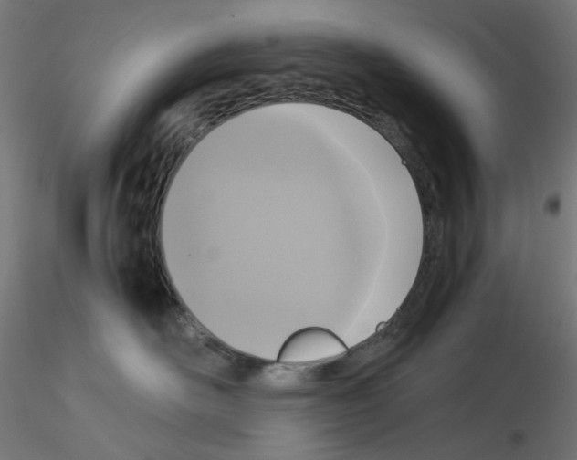X0000115540526200912181532