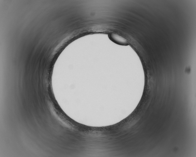 X0000115540530200912181531