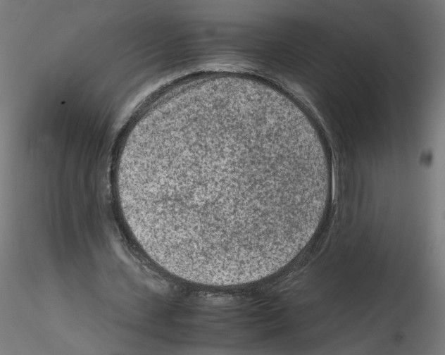 X0000115540531200912181531
