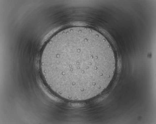 X0000115540533200912181531