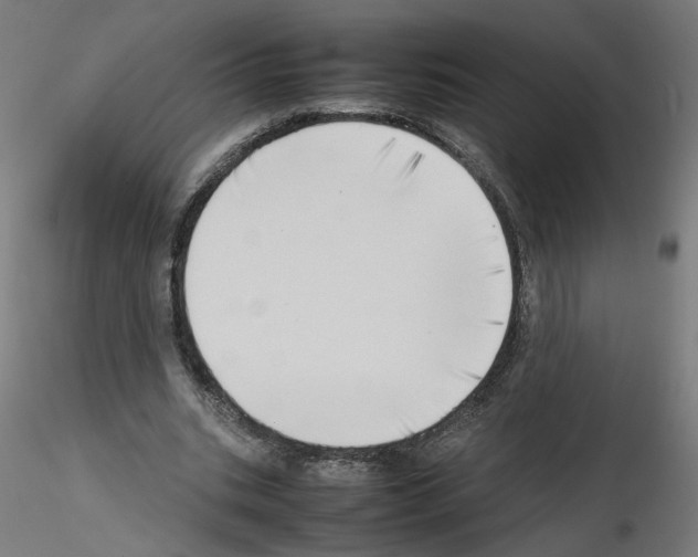 X0000115540535200912181531