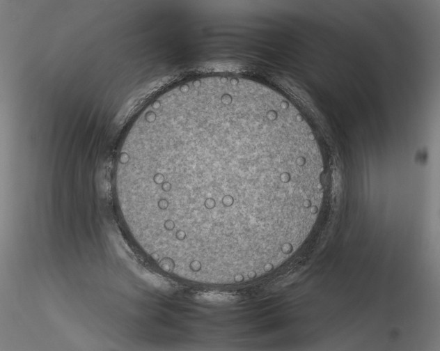 X0000115540537200912181531