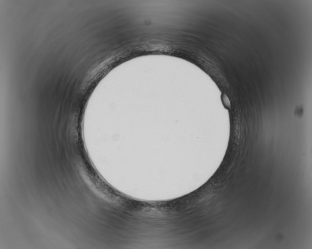X0000115540538200912181531