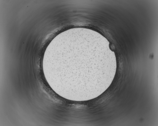 X0000115540539200912181531