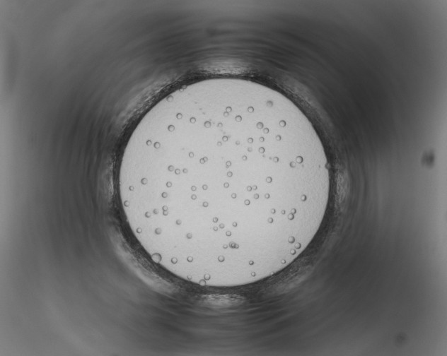 X0000115540541200912181531