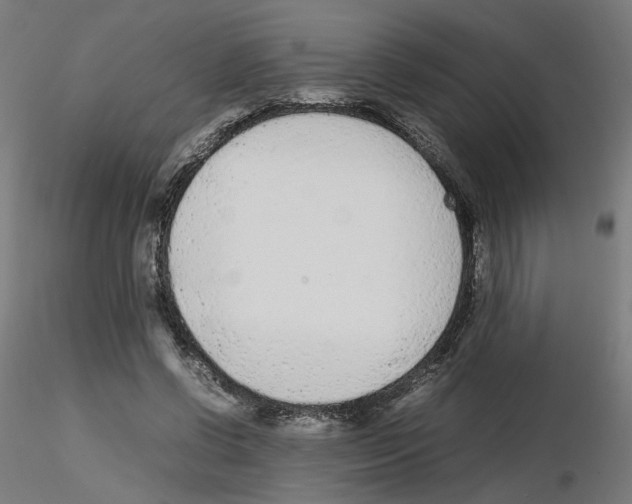 X0000115540542200912181531