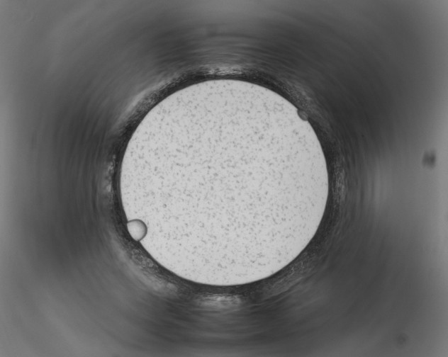 X0000115540543200912181531