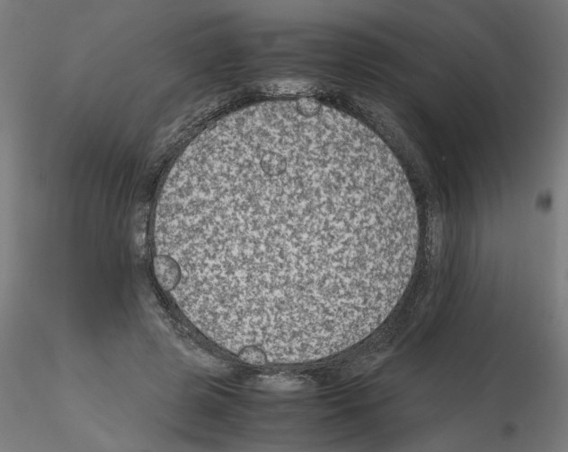 X0000115540545200912181531