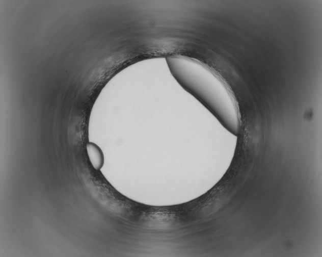 X0000115540546200912181531