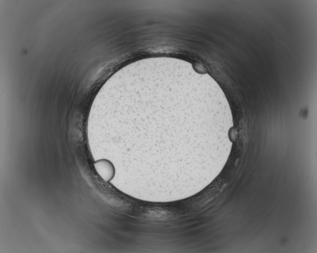 X0000115540547200912181531