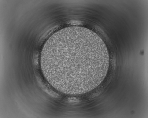 X0000115540549200912181531