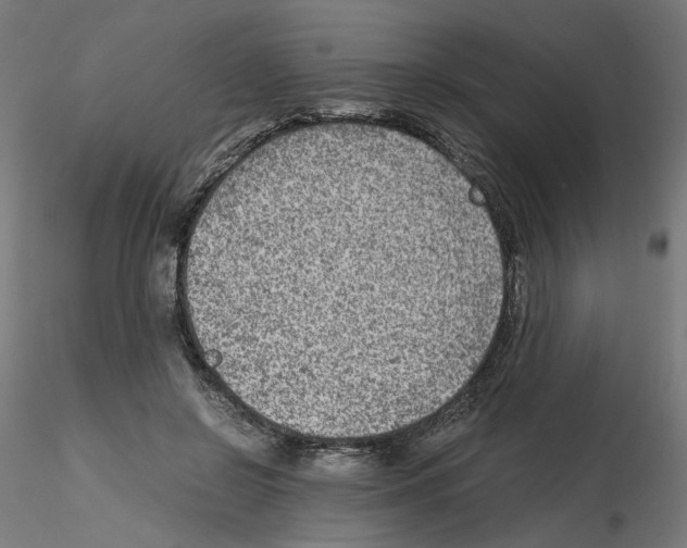 X0000115540550200912181531