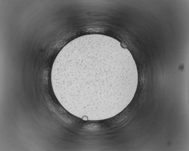 X0000115540551200912181531