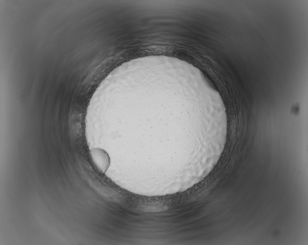 X0000115540553200912181531