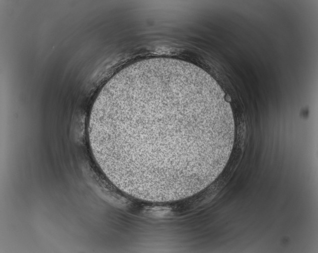 X0000115540554200912181531