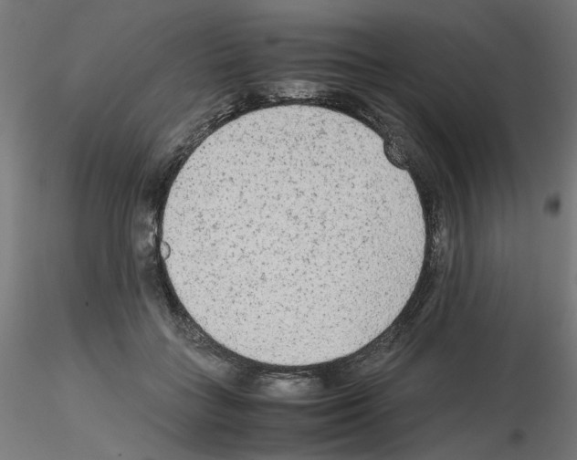 X0000115540555200912181531