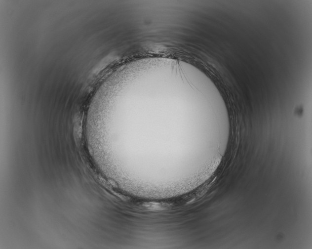 X0000115540558200912181532