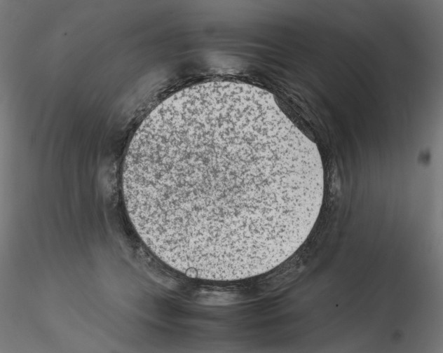 X0000115540559200912181532