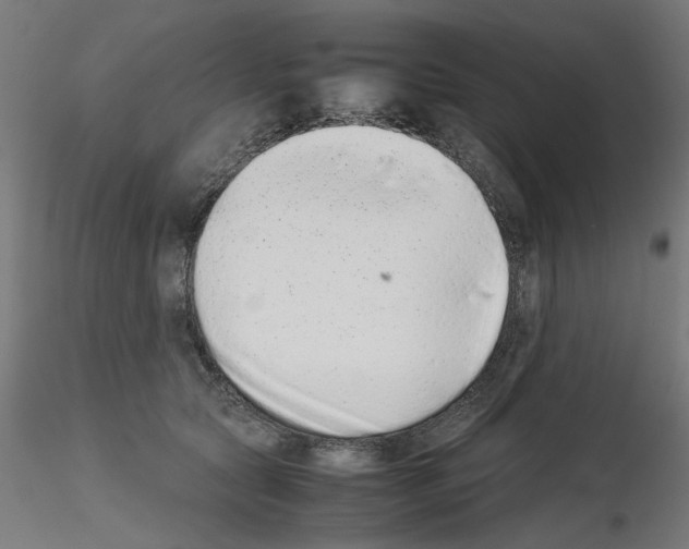 X0000115540561200912181532